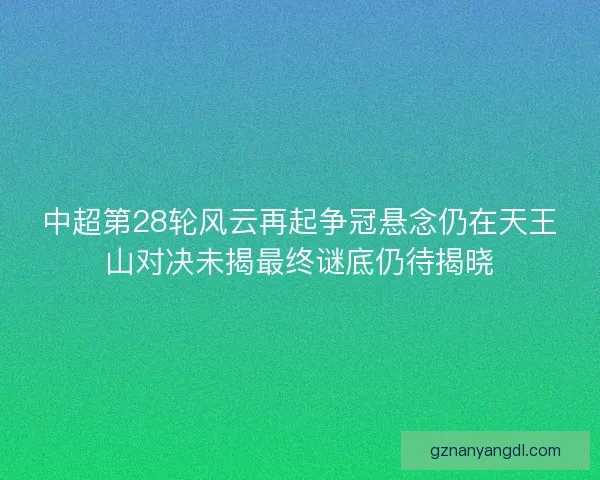 中超第28轮风云再起争冠悬念仍在天王山对决未揭最终谜底仍待揭晓